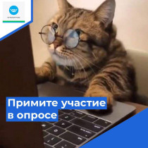 Приглашаем пройти опрос.