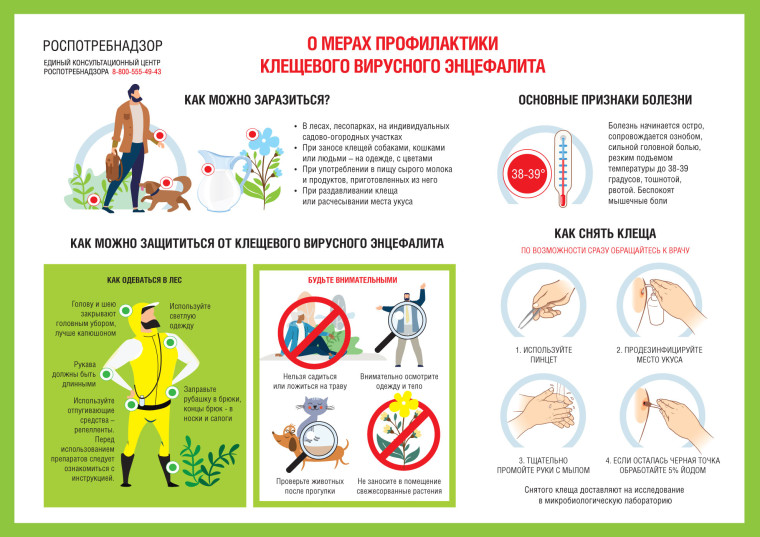 Месячник по профилактике детского травматизма.